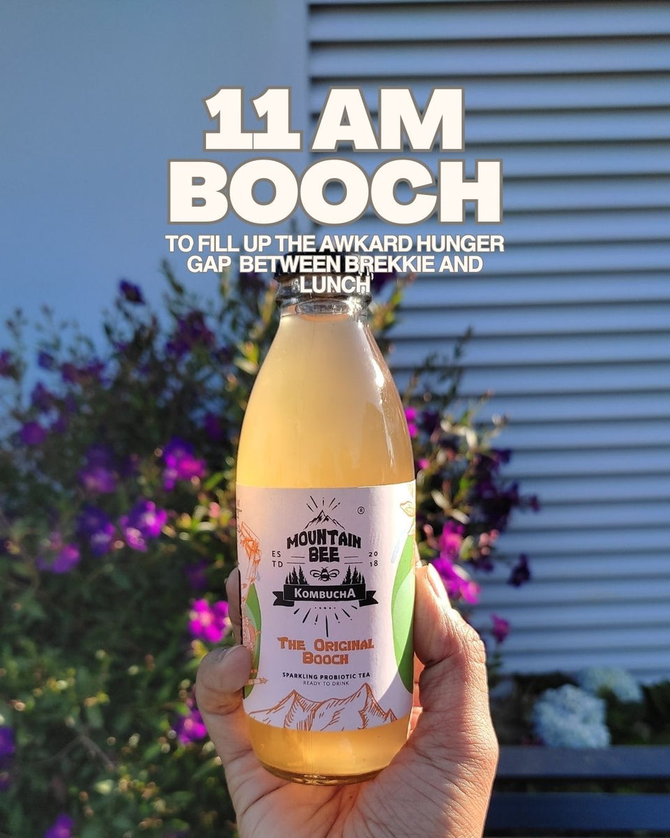 Best time to drink kombucha for maximum benefits Our take