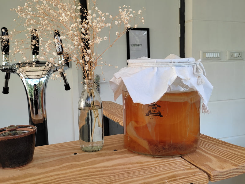 Kombucha Tasting and Flavouring Workshop