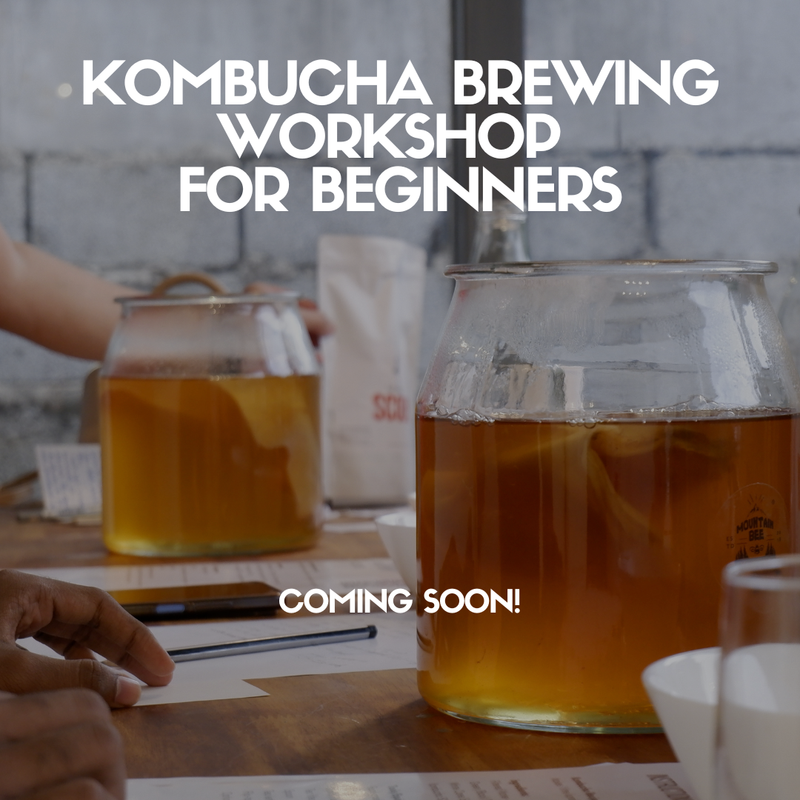 Kombucha Brewing Workshop for Beginners - Coming Soon