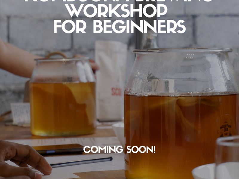 Kombucha Brewing Workshop for Beginners - Coming Soon