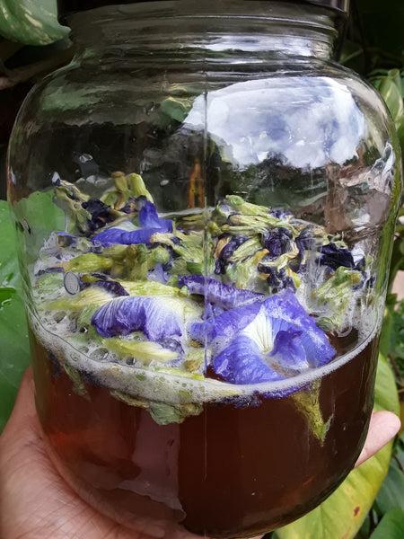 Use kombucha like a Pro