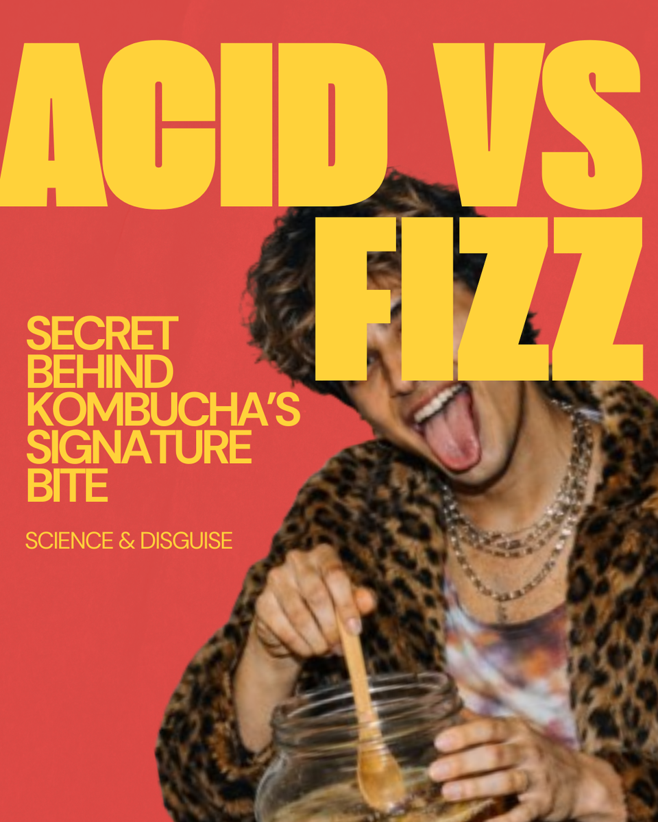 Acid vs Fizz: What Really Causes Kombucha’s Bite