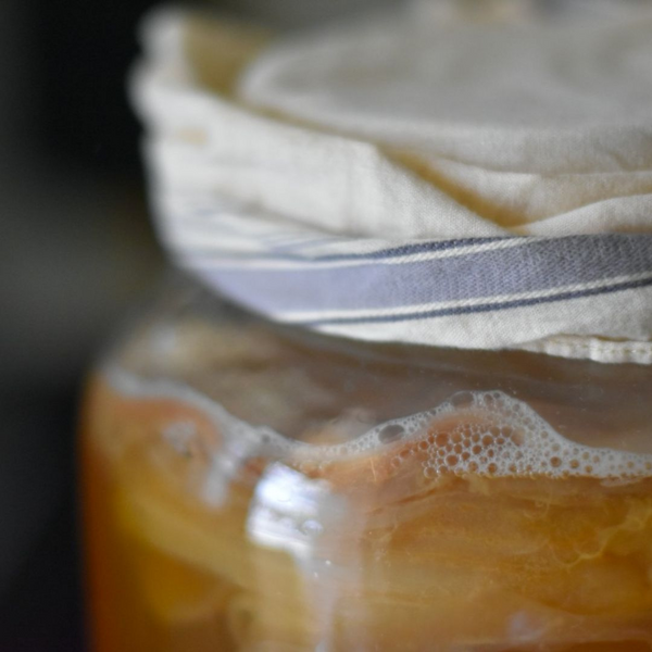 The Microscopic Powerhouses: Exploring the Beneficial Microorganisms in Kombucha for Gut Health