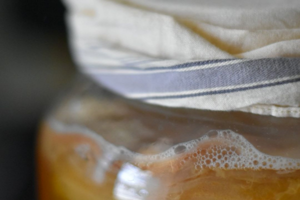 The Microscopic Powerhouses: Exploring the Beneficial Microorganisms in Kombucha for Gut Health
