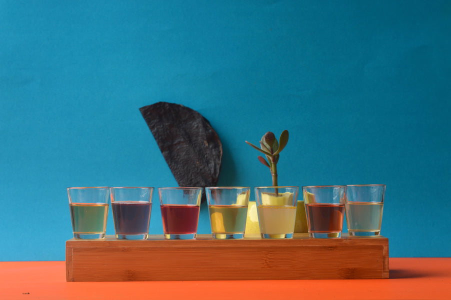 Fermenting Food Culture -       A perspective on revival of fermentation practices