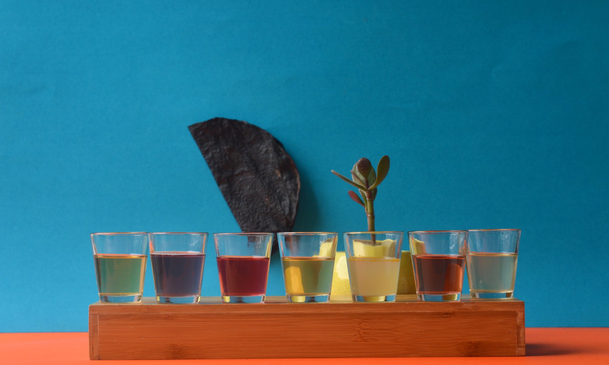 Fermenting Food Culture -       A perspective on revival of fermentation practices