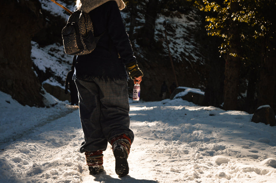 Gut health and the role of kombucha