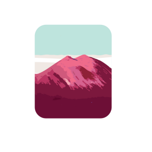 Sneak Peak Into Our Labels Redesign Project