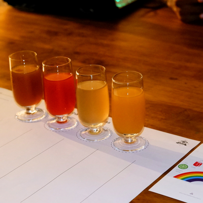 Kombucha Tasting by Mountain Bee