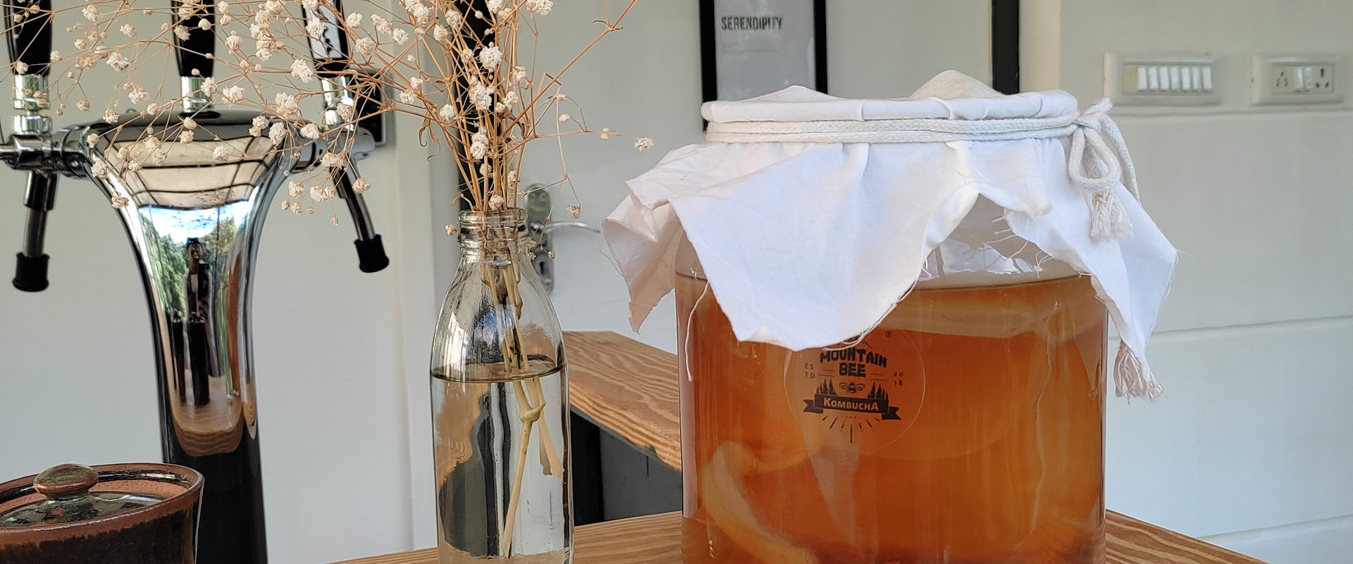 Brew It Yourself Kombucha Workshop (World Kombucha Day Special)