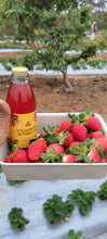 Load image into Gallery viewer, Strawberry Kombucha - Limited Release - Pack of 6 bottles 220 ml each
