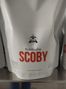 KOMBUCHA SCOBY (500 ml starter liquid + cellulose disc)