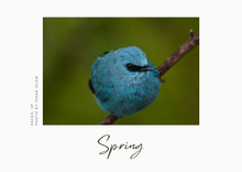 Load image into Gallery viewer, Slice Of Mountain Life - Postcards
