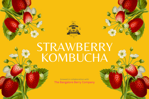 Strawberry Kombucha - Seasonal & Limited Release - Pack of 6 bottles 220 ml each