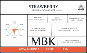 Strawberry Kombucha - Limited Release - Pack of 6 bottles 220 ml each